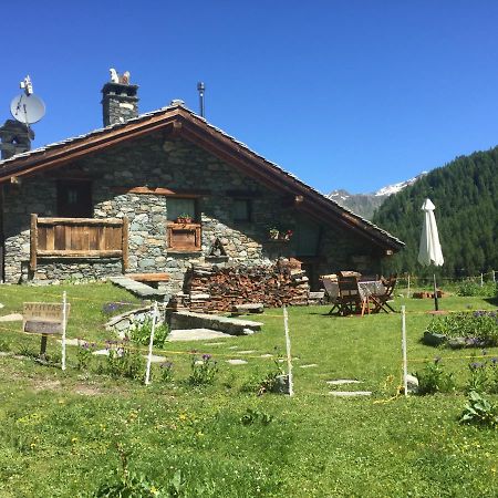Chalet Gorret Cheneil Valtournenche Εξωτερικό φωτογραφία